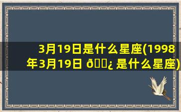 3月19日是什么星座(1998年3月19日 🌿 是什么星座)